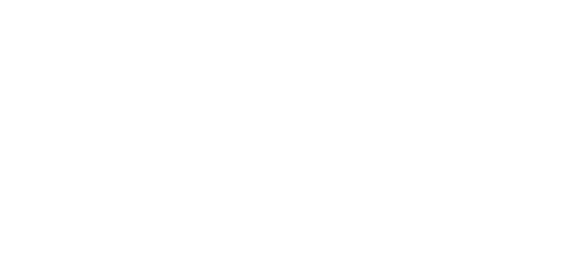 Style Group